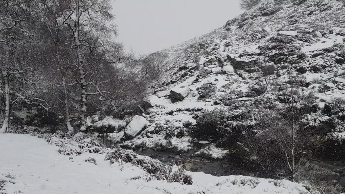 'Video thumbnail for Bronte Waterfall Walk In The Snow'