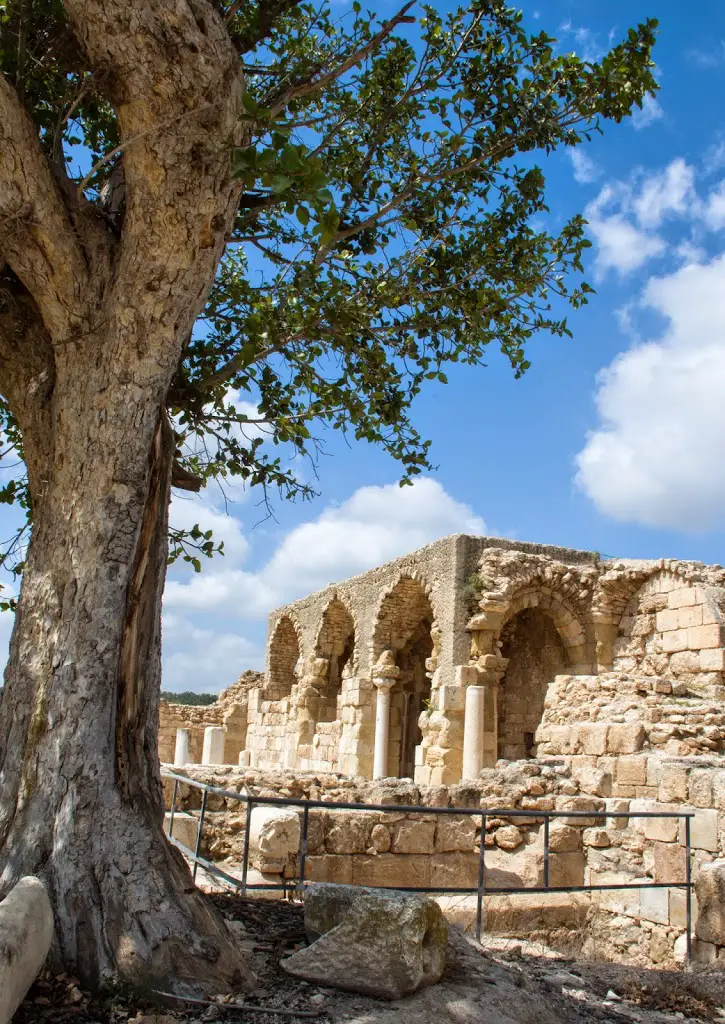 Крепость крестоносцев в Бейт-Гуврине