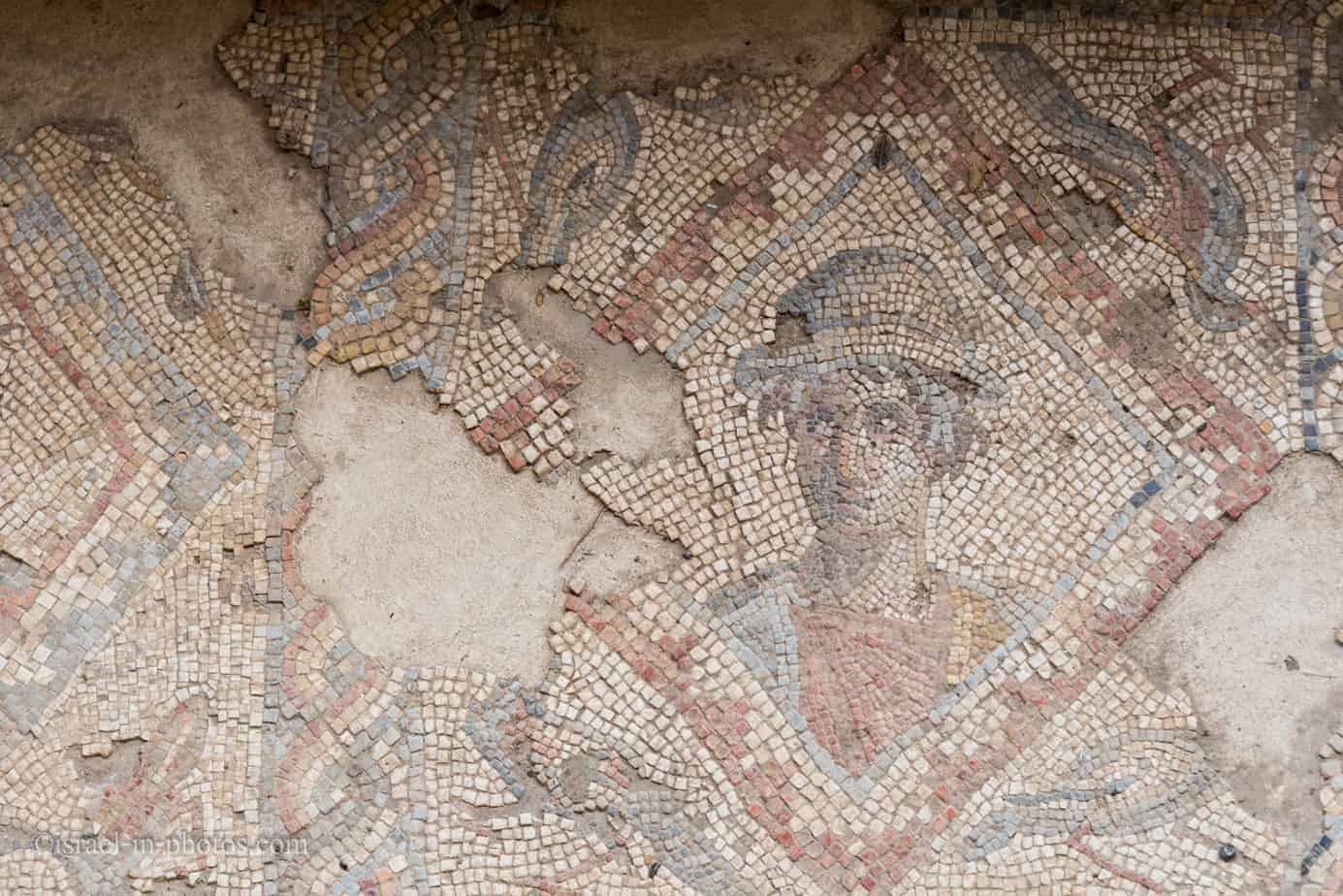 Mosaic at Ein Yael Living Museum