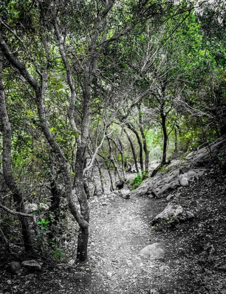 Finger Cave Trail