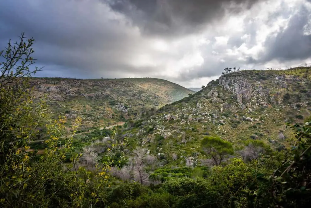 Carmel mountains