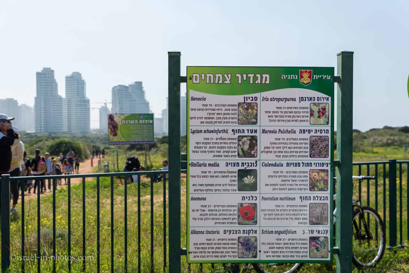 Irus הארגמן שמור בנתניה, ישראל