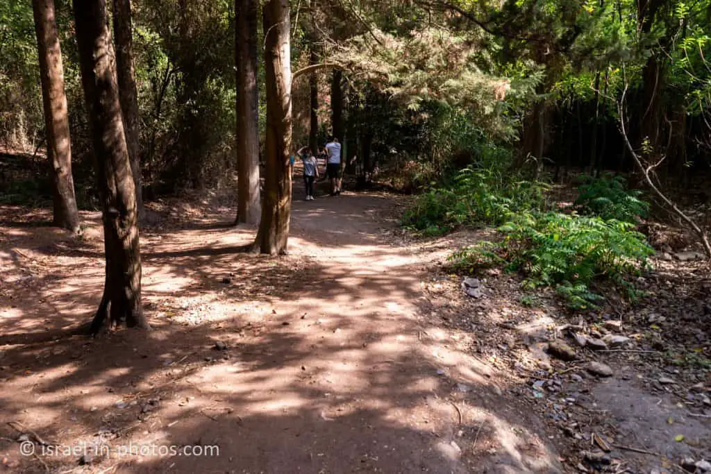 The wheelchair-accessible trail at Nahal HaShofet