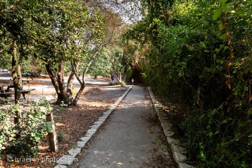 The wheelchair-accessible path, Nahal HaShofet