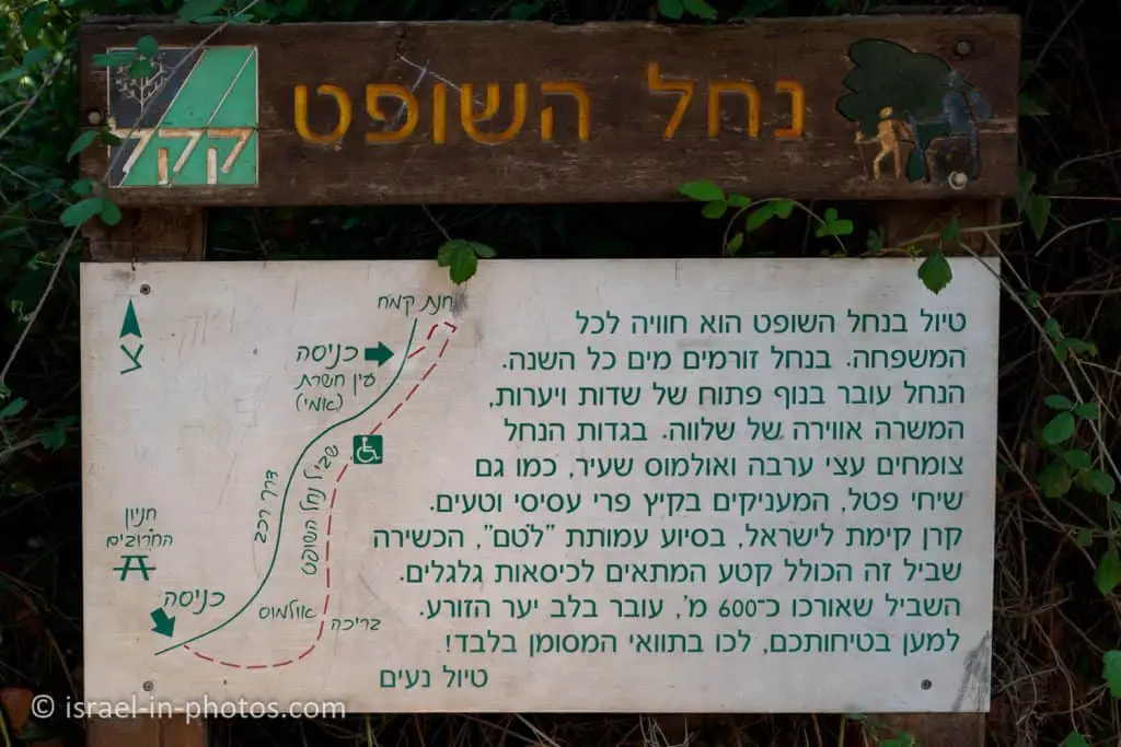 Nahal HaShofet