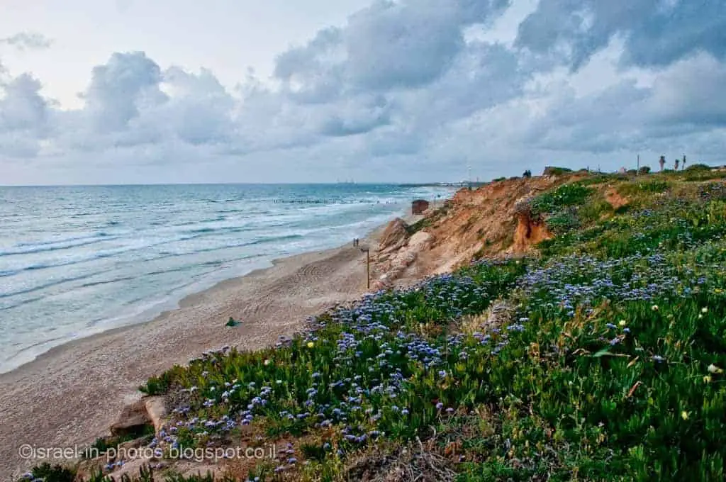 пляж Beit Yanai