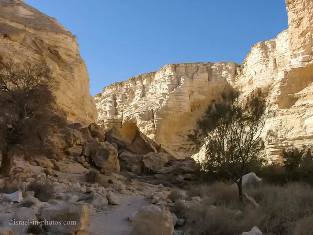 Ein Mor, Ein Avdat National Park