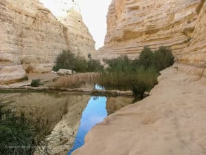 Ein Avdat National Park