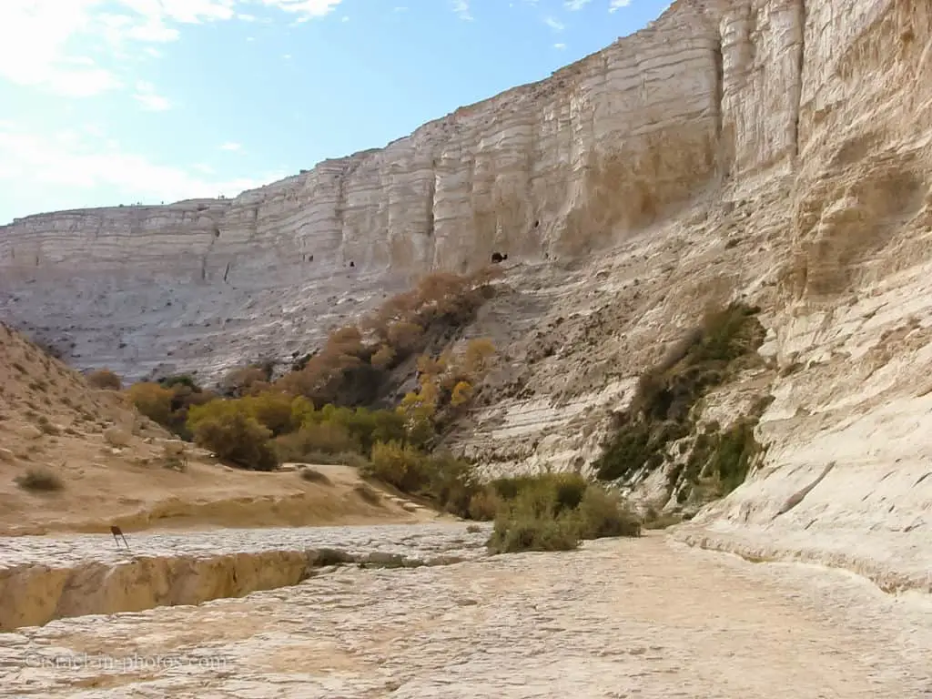 Ein Avdat National Park