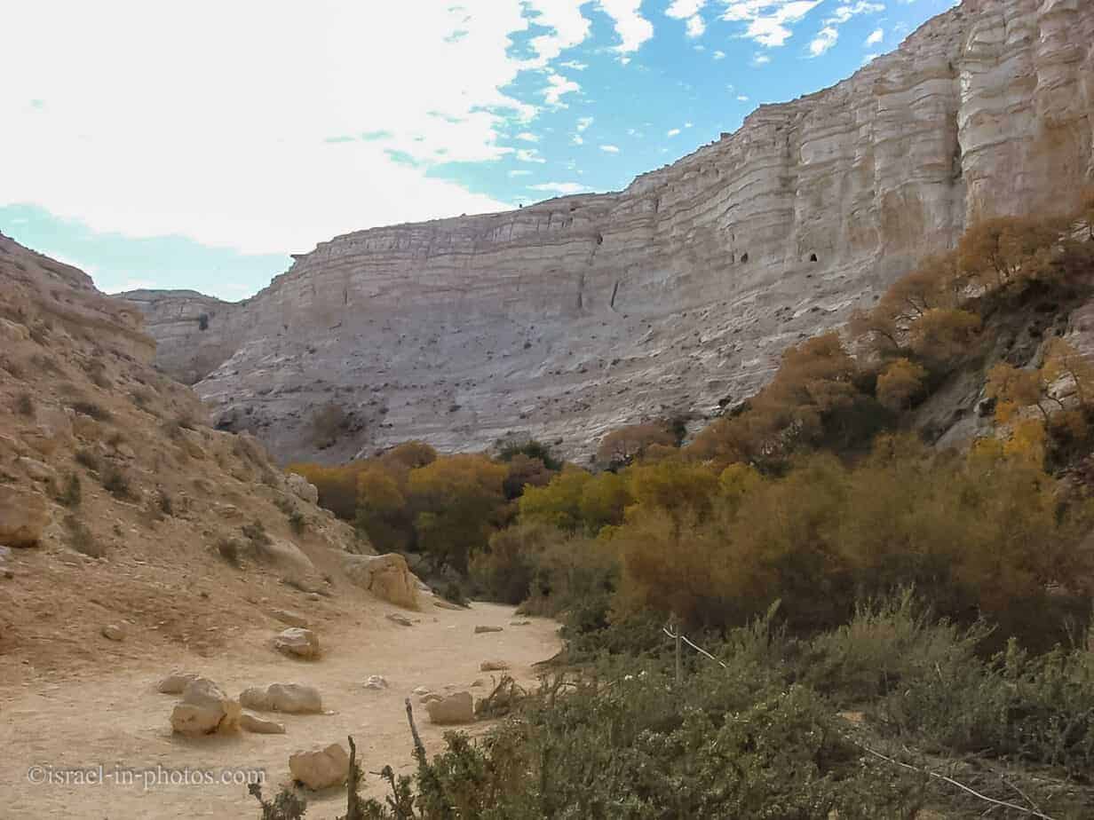 Ein Avdat National Park Visitors Guide (with Map and Trails)