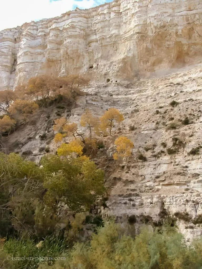 Ein Avdat National Park