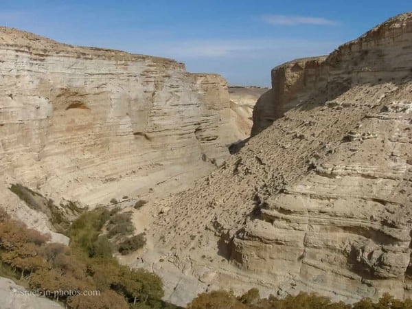 Ein Avdat National Park - Visitors Guide with Map and Tracks