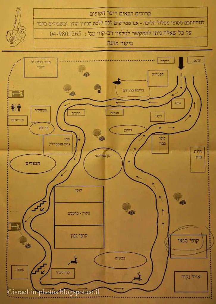 Map of Monkey Forest