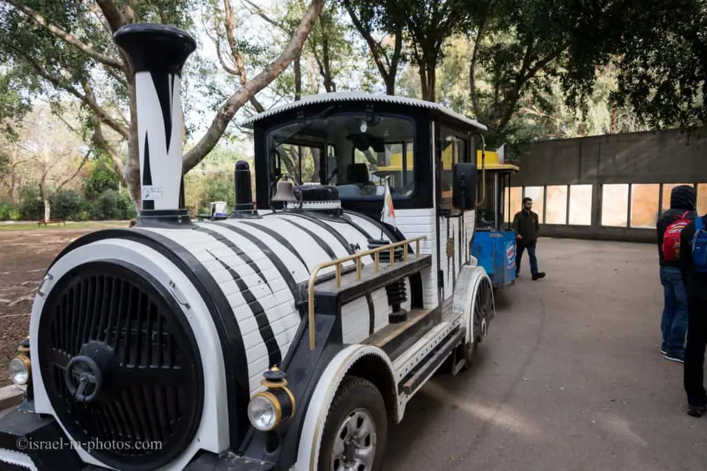 Morning Tour at Ramat Gan Safari in Israel