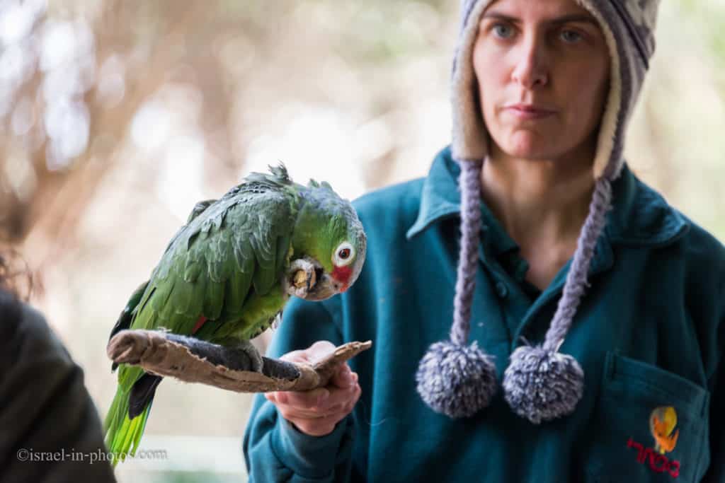 Morning Tour at Ramat Gan Safari in Israel