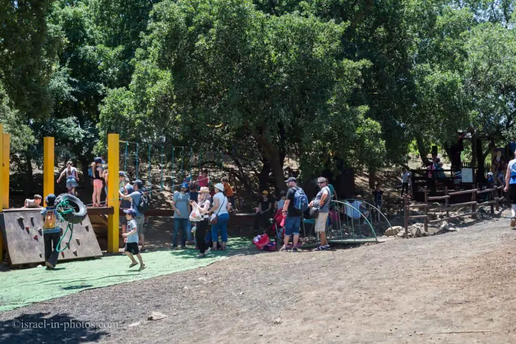 Cherry Picking at Bustan Bereshit in the Golan Heights, Israel