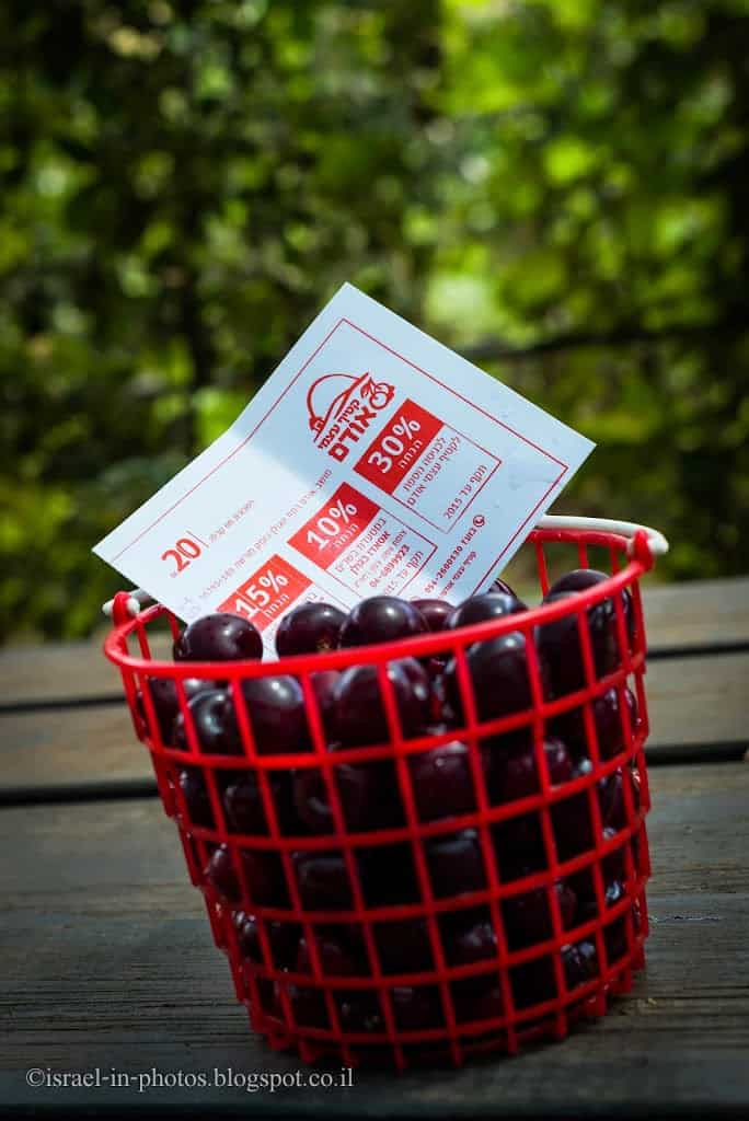 The basket at Self-Picking Odem