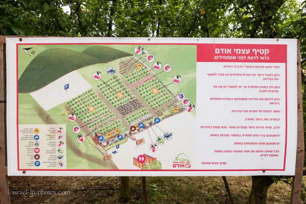 Map of Self-Picking Odem