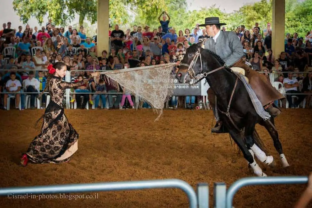 Visiting Americana – The First American Show in Israel