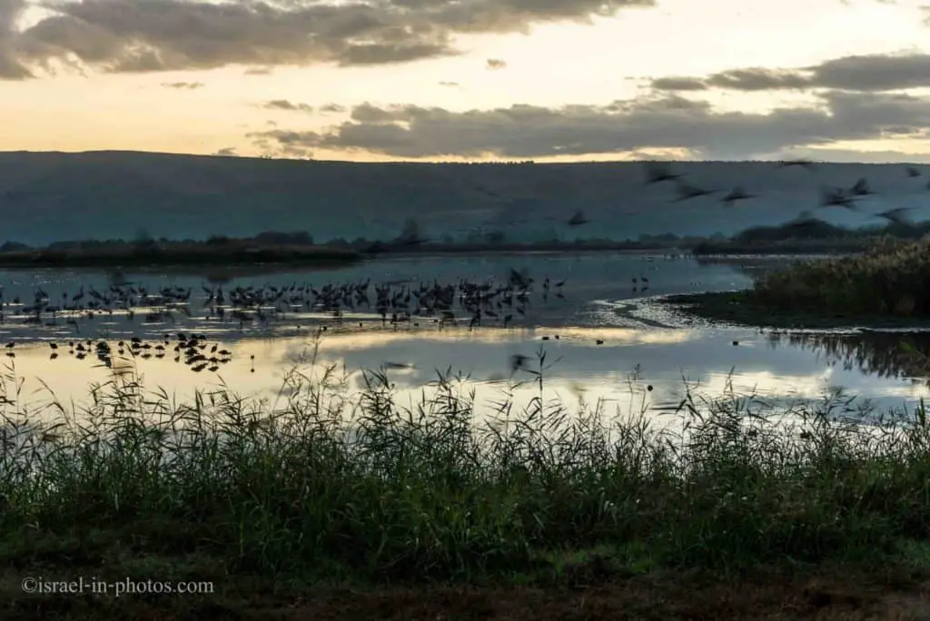 Agamon Hula Sunrise Tour