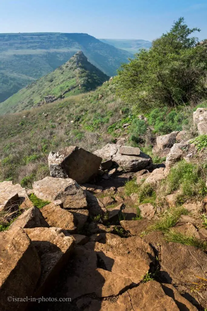 Gamla Nature Reserve