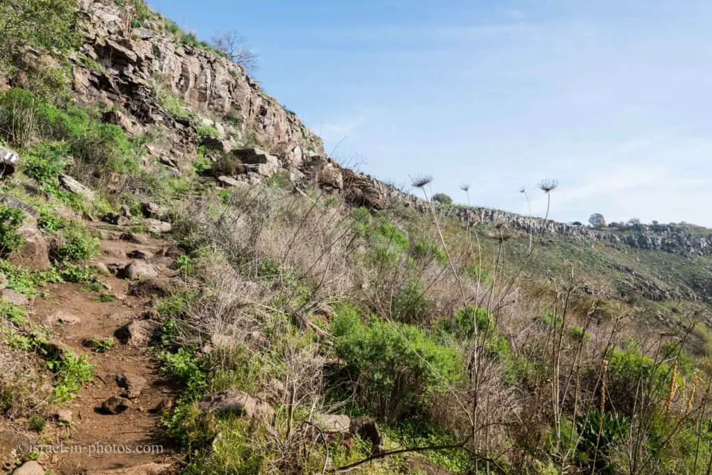 Path to Ancient Gamla