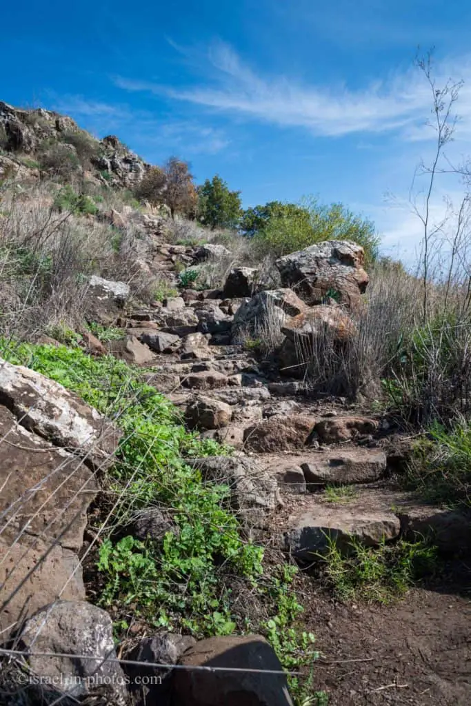 Ancient Gamla Track