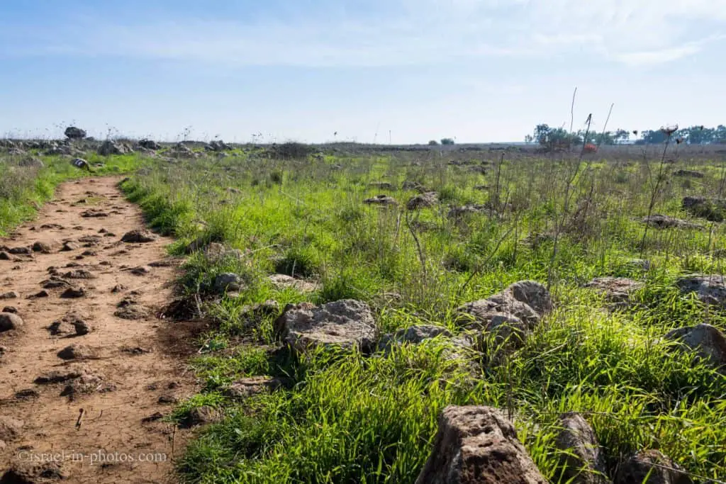 The Dolmen Trail