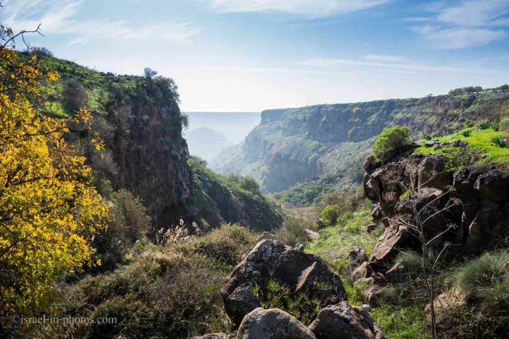 Gamla Nature Reserve