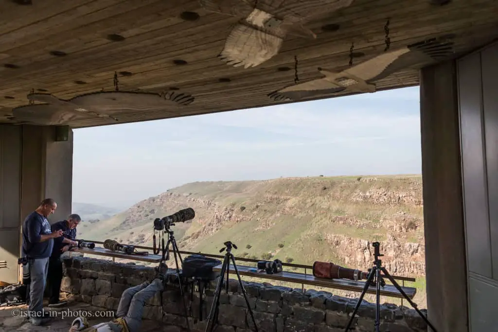 Vulture Lookout at Gamla Nature Reserve