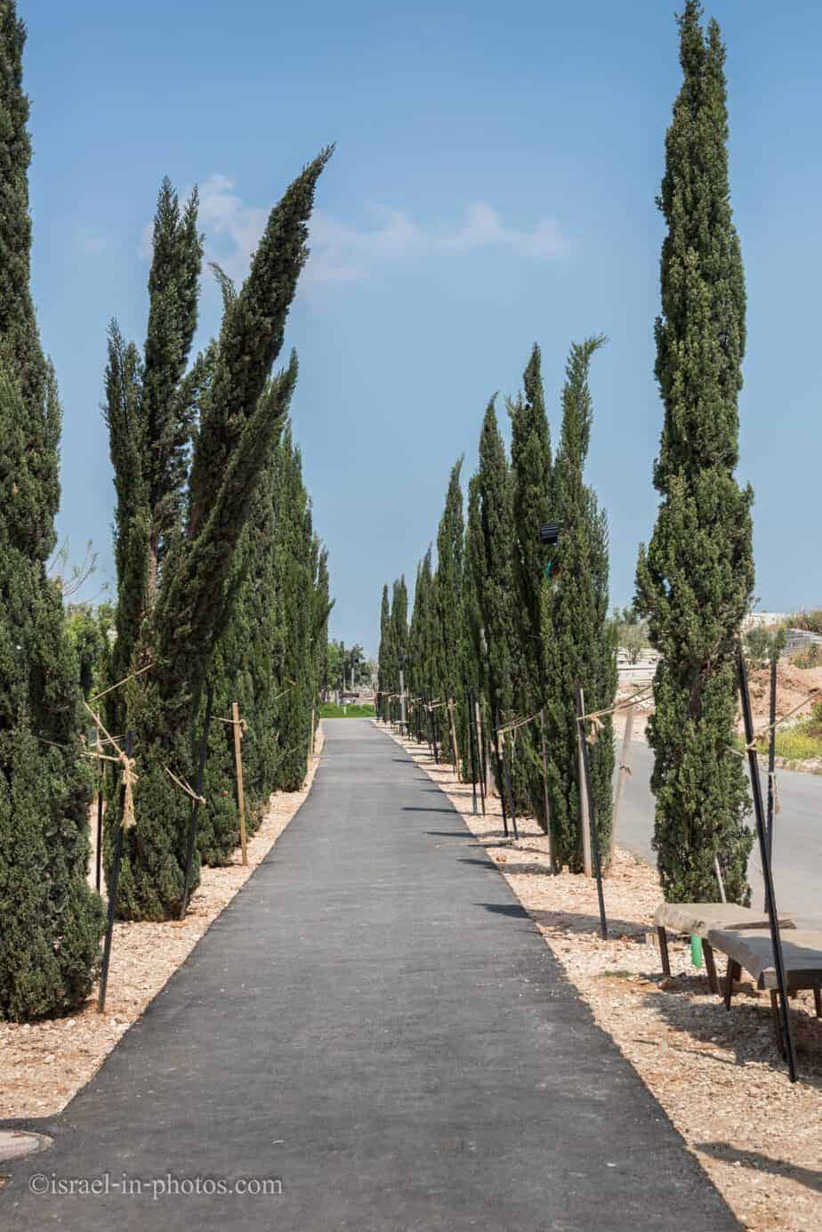 פארק אריאל שרון חירייה תיירות בישראל