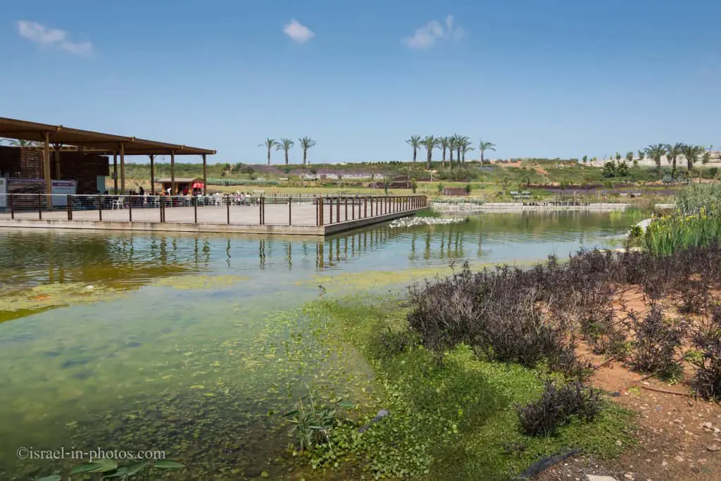 The pond on top of the mountain