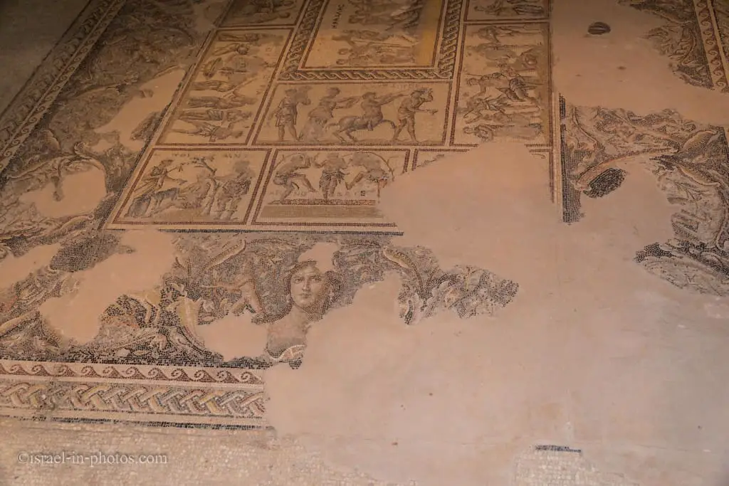 Dionysus mosaic, Tzipori National Park