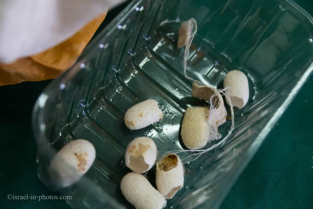 Cocoons