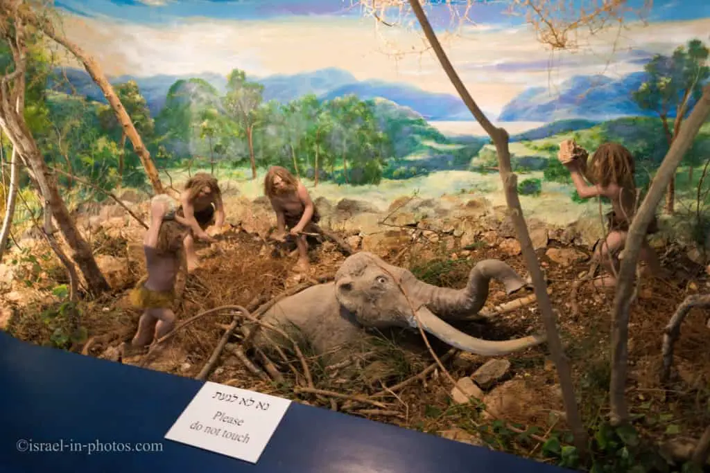 Доисторический музей в Хайфе Образовательного зоопарк