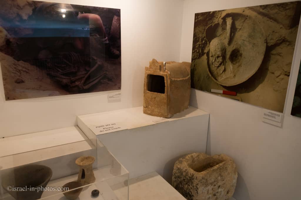Prehistoric Museum at Haifa Educational Zoo