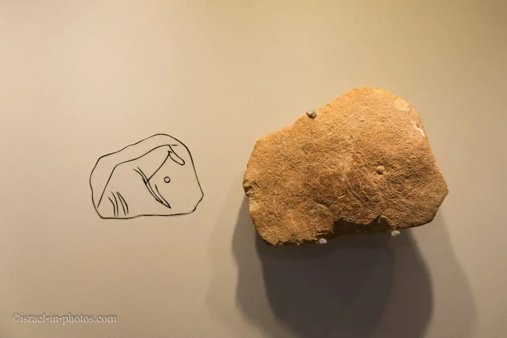 Гравировка лошадь на Известняк (Hayonim Cave, Верхний палеолит)