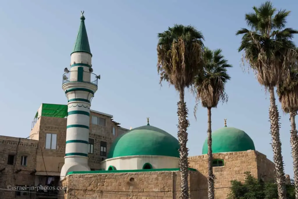 Мечеть Эль-Зейтуна
