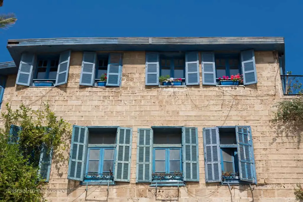 יפו - Jaffa windows