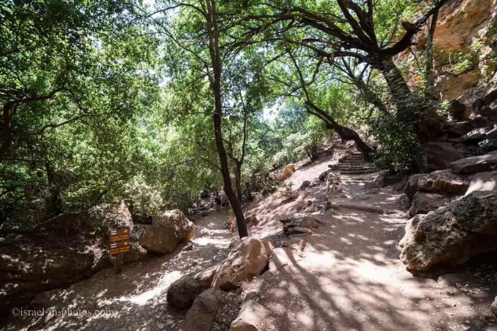 Visiting Banias Nature Reserve in Northern Israel