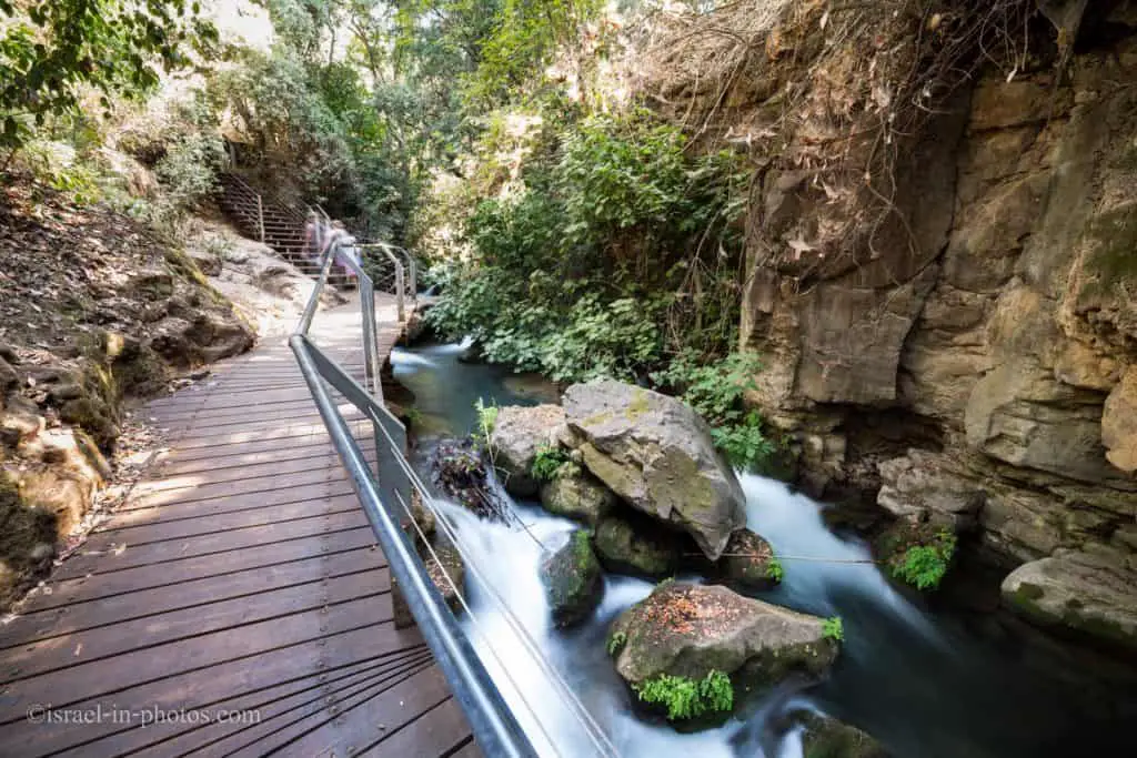 ביקור בשמורת טבע בניאס בצפון ישראל