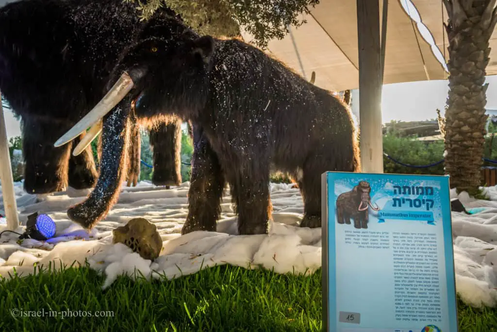 Ice Age and Dinosaurs - The Exhibition-10