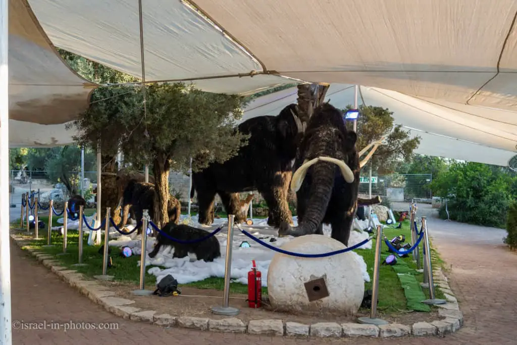 Ice Age and Dinosaurs - The Exhibition-11