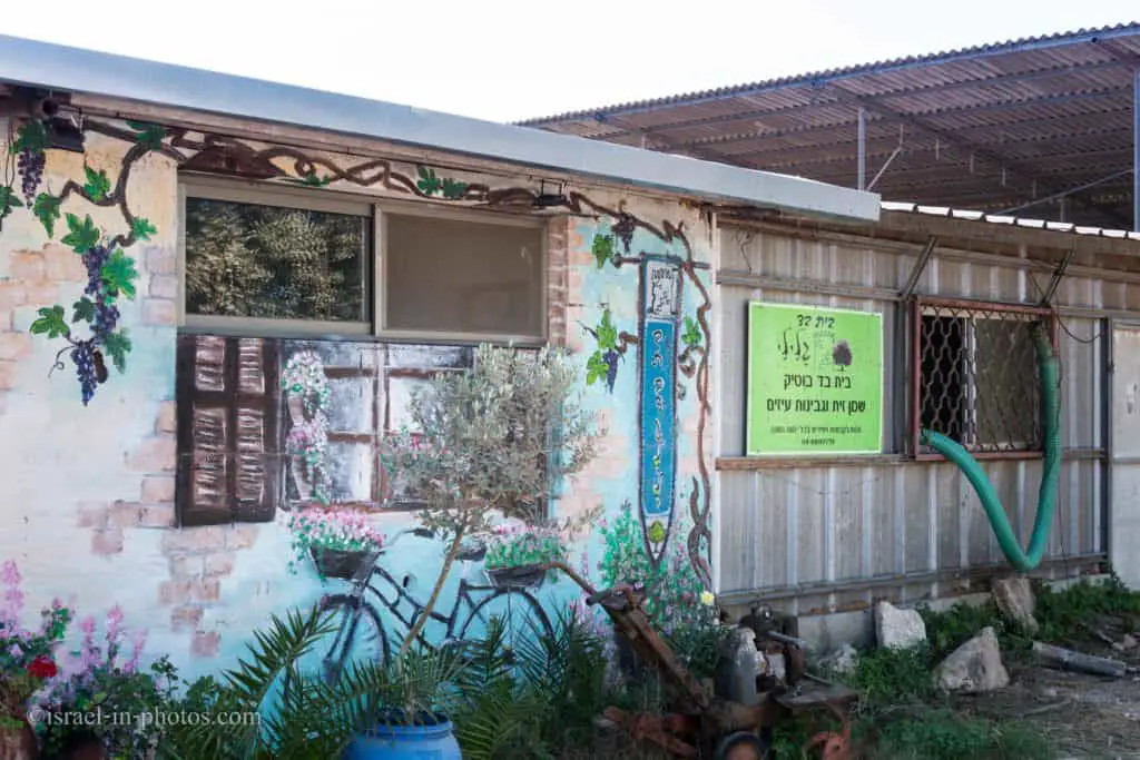 Visitors Center at Galili Olive Oil