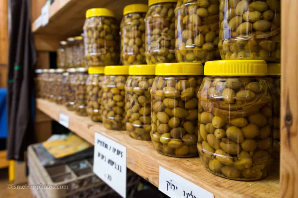 Olives picking at Bethlehem of Galilee, Israel