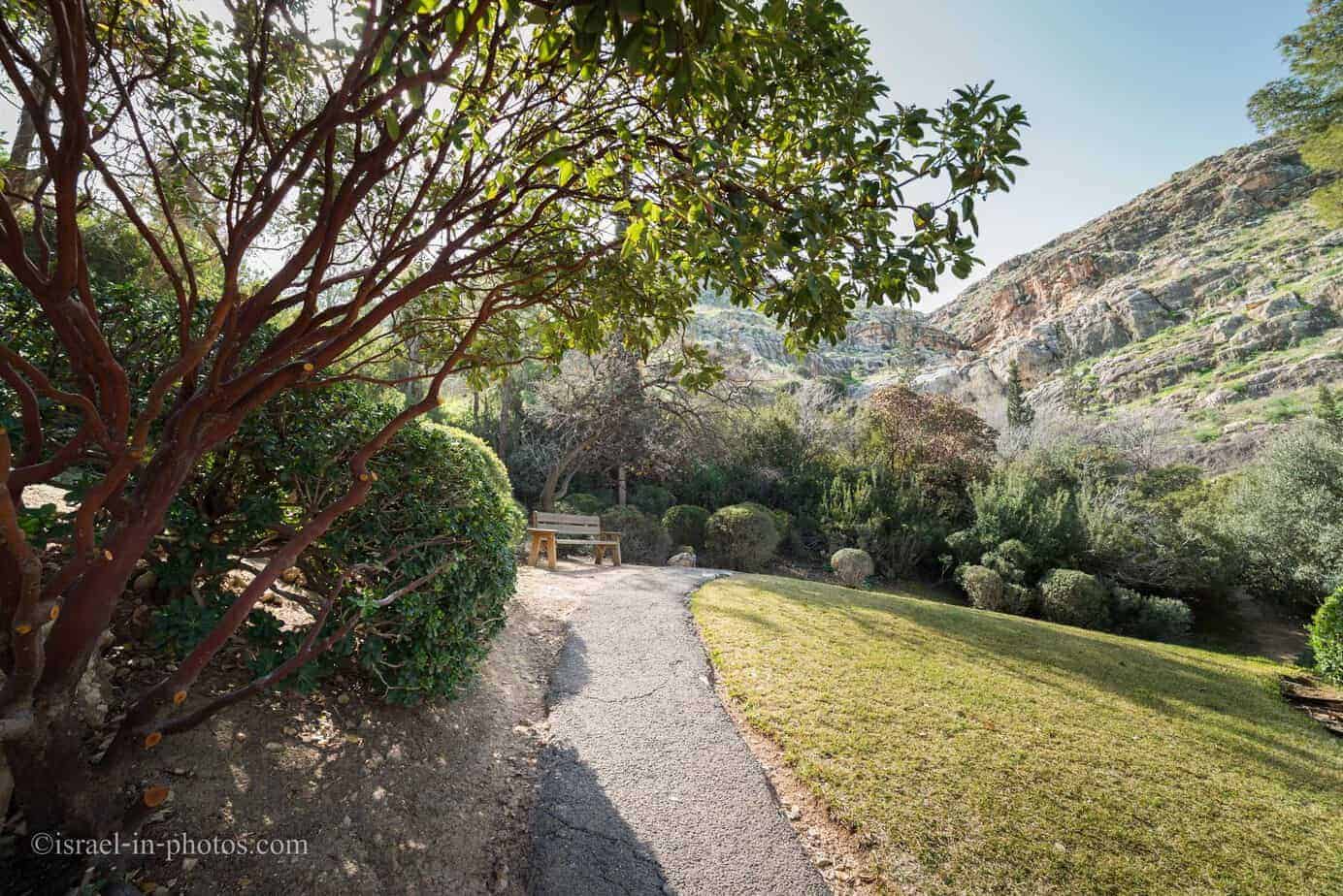 Japanese Garden at Kibbutz Hephzibah