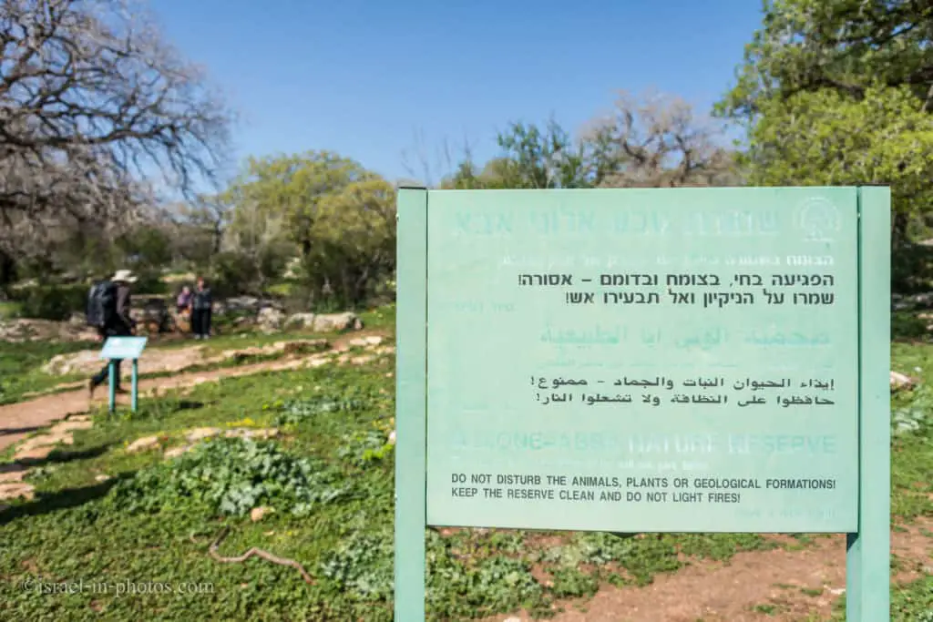 Entrance to Alonei Abba Nature Reserve