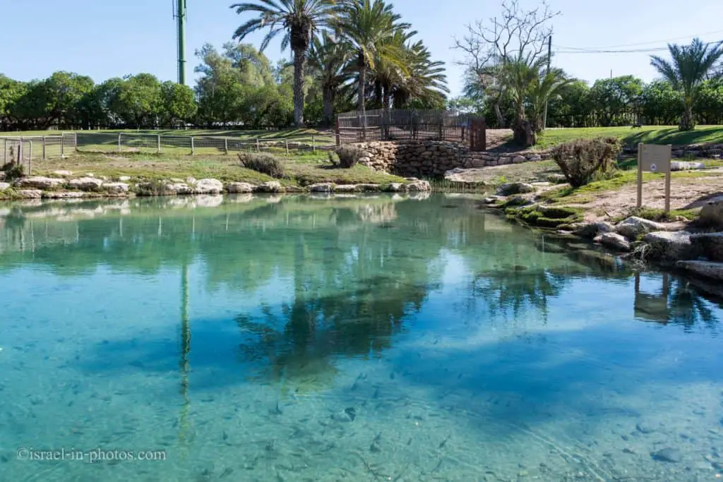 HaBsor National Park (Eshkol Park)