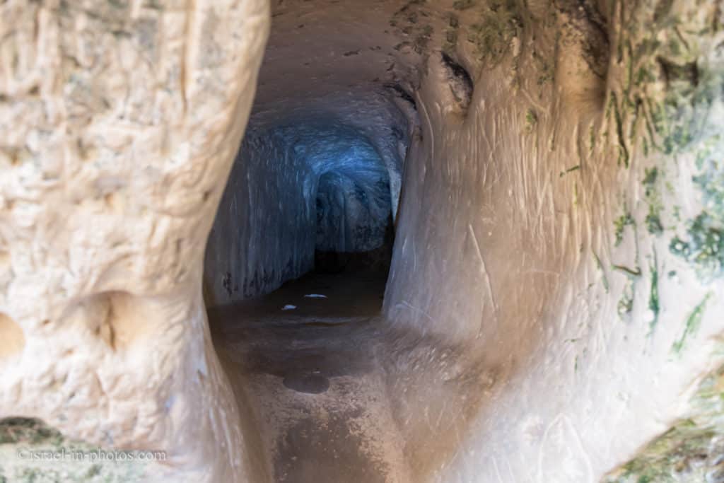 The Tunnel