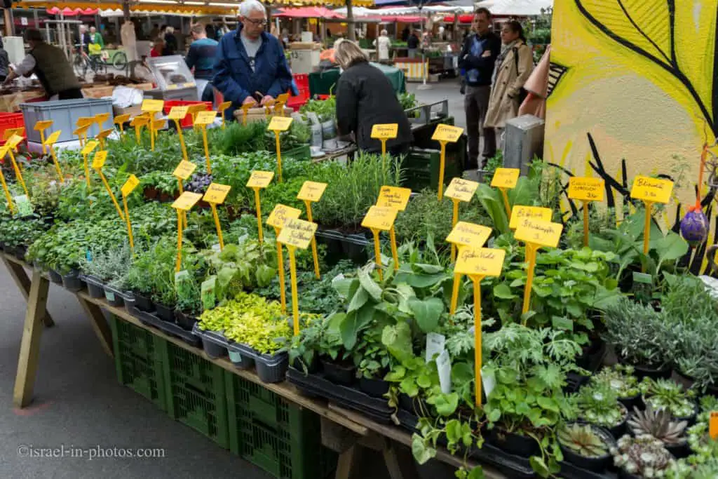 Visiting Graz, the capital city of Styria, Austria